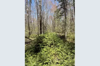 Vascheau Road, Merrill, WI 54452 - Photo 3