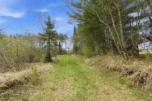 W2477 Bonde Ave, Rib Lake, WI 54470 - Photo 11