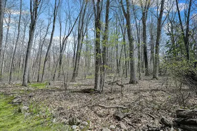 N7898 County Road G, Iola, WI 54945 - Photo 39