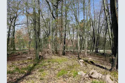 Lot 1 County Road G, Iola, WI 54945 - Photo 3