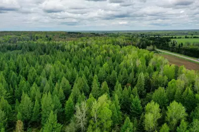 W6103 County Road O, Ogema, WI 54459 - Photo 21