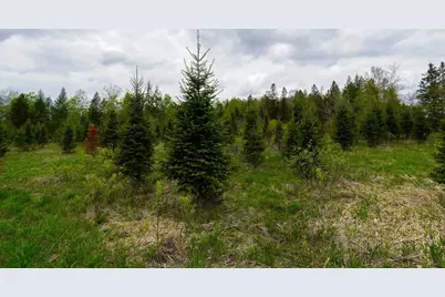 W6103 County Road O, Ogema, WI 54459 - Photo 25