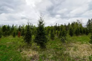 W6103 Co Rd O, Ogema, WI 54459 - Photo 25