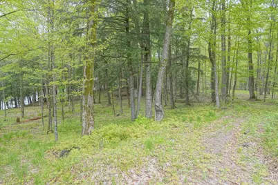 N221 Lamer Drive, Ogema, WI 54459 - Photo 33