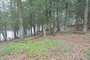 N221 Lamer Dr, Ogema, WI 54459 - Photo 35