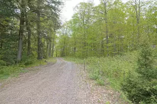 N221 Lamer Dr, Ogema, WI 54459 - Photo 29