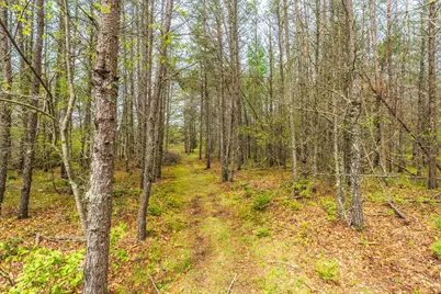 2471 Kelch Drive, Tomahawk, WI 54487 - Photo 41