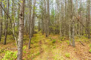 2471 Kelch Dr, Tomahawk, WI 54487 - Photo 41