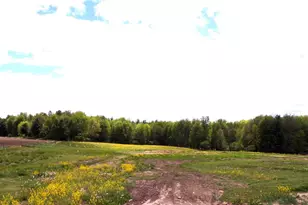 N4144 Marg Ave, Pine Valley, WI 54456 - Photo 59