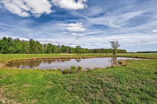 6414 County Rd E, Pittsville, WI 54466 - Photo 45