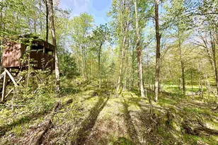 W10680 County Rd J, Deerbrook, WI 54424 - Photo 41
