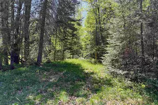 16340 N State Hwy 13, Park Falls, WI 54552 - Photo 45