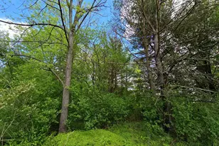4918 Meadow Ln, Vesper, WI 54489 - Photo 19