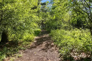13359 Hollywood Rd, Nekoosa, WI 54465 - Photo 59