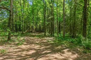 3164 Swanson Rd, Wisconsin Rapids, WI 54495 - Photo 47
