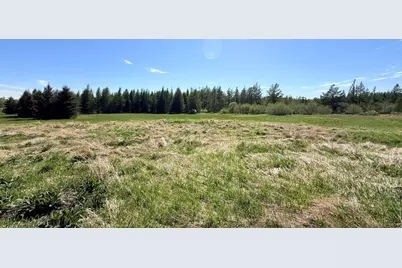 N8196 Cth H, Gleason, WI 54435 - Photo 45