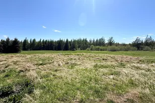 N8196 Cth H, Gleason, WI 54435 - Photo 45