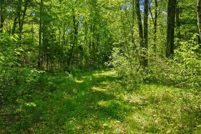 886 McKeel Road, Babcock, WI 54413 - Photo 41