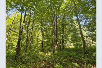 4824N Lake Winter Road, Winter, WI 54896 - Photo 57