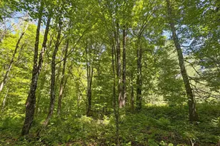 4824N Lake Winter Rd, Winter, WI 54896 - Photo 57