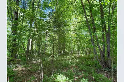 4824N Lake Winter Road, Winter, WI 54896 - Photo 55