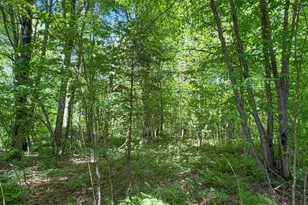 4824N Lake Winter Rd, Winter, WI 54896 - Photo 55