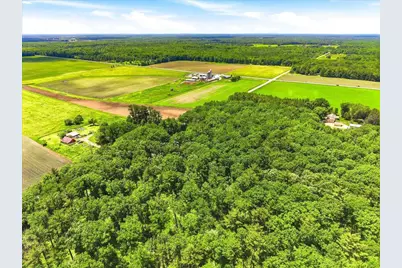 8792 Dexter Wood Road, Pittsville, WI 54466 - Photo 47