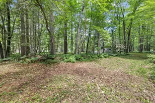 6390 Bernie Lou Dr, Hazelhurst, WI 54531 - Photo 47