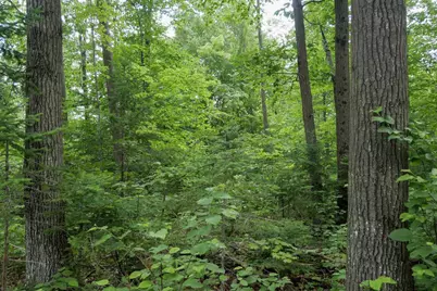 W2175 County Road M, Rib Lake, WI 54470 - Photo 25