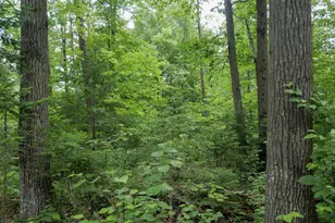 W2175 County Rd M, Rib Lake, WI 54470 - Photo 25