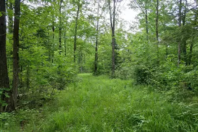 W2175 County Road M, Rib Lake, WI 54470 - Photo 31