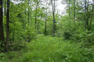 W2175 County Rd M, Rib Lake, WI 54470 - Photo 31