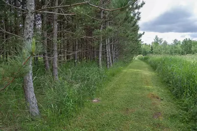 W2175 County Road M, Rib Lake, WI 54470 - Photo 29