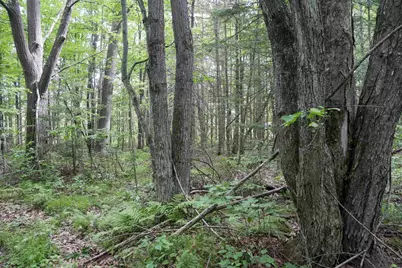 W2175 County Road M, Rib Lake, WI 54470 - Photo 27