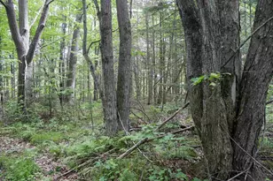 W2175 County Rd M, Rib Lake, WI 54470 - Photo 27