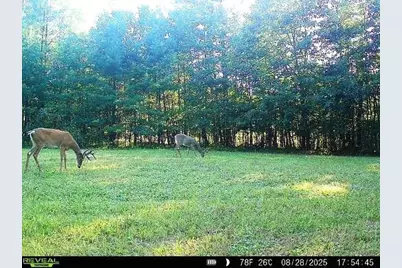 W7512 Poertner Road, Neillsville, WI 54456 - Photo 25
