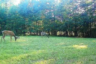 W7512 Poertner Rd, Neillsville, WI 54456 - Photo 25