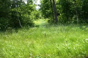 W7512 Poertner Rd, Neillsville, WI 54456 - Photo 35