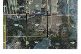W7512 Poertner Rd, Neillsville, WI 54456 - Photo 3