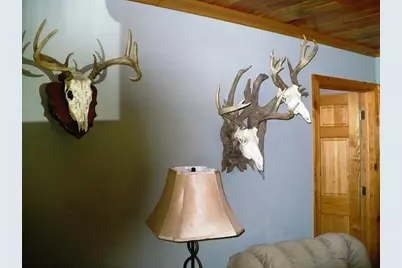 W7512 Poertner Road, Neillsville, WI 54456 - Photo 11