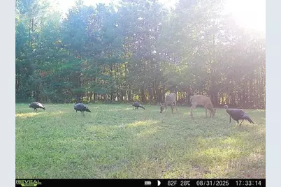 W7512 Poertner Road, Neillsville, WI 54456 - Photo 23