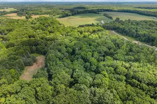 200880 Canopy Ln, Rosholt, WI 54473 - Photo 3