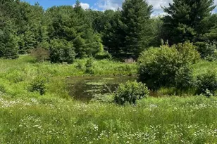 W3981 County Rd J, Irma, WI 54442 - Photo 37