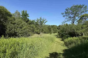 N6559 River Rd, Wittenberg, WI 54499 - Photo 13