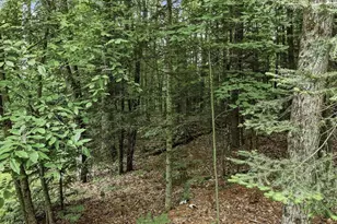 3475 Oakhill Ln, Eagle River, WI 54521 - Photo 37