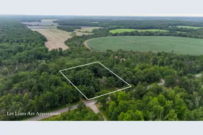 181241 Little Wolf Road, Wittenberg, WI 54499 - Photo 47