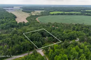 181241 Little Wolf Rd, Wittenberg, WI 54499 - Photo 47