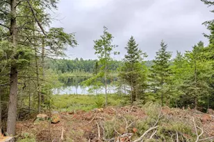 W4601 Olivotti Lake Rd, Irma, WI 54442 - Photo 37
