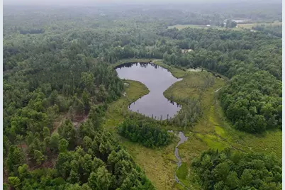 W4601 Olivotti Lake Road, Irma, WI 54442 - Photo 45