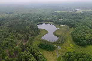 W4601 Olivotti Lake Rd, Irma, WI 54442 - Photo 45
